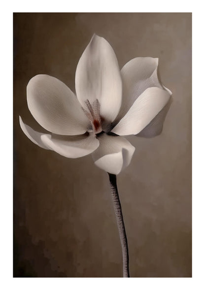 Monochromatic Flower | Wall Art Print