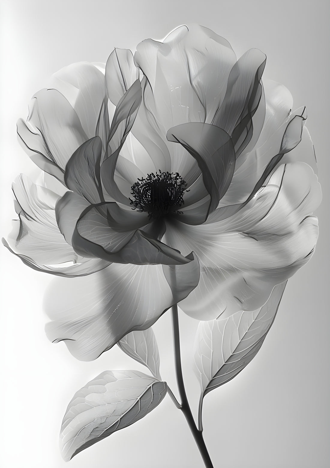 Flower | Black and White | Ilustration Print