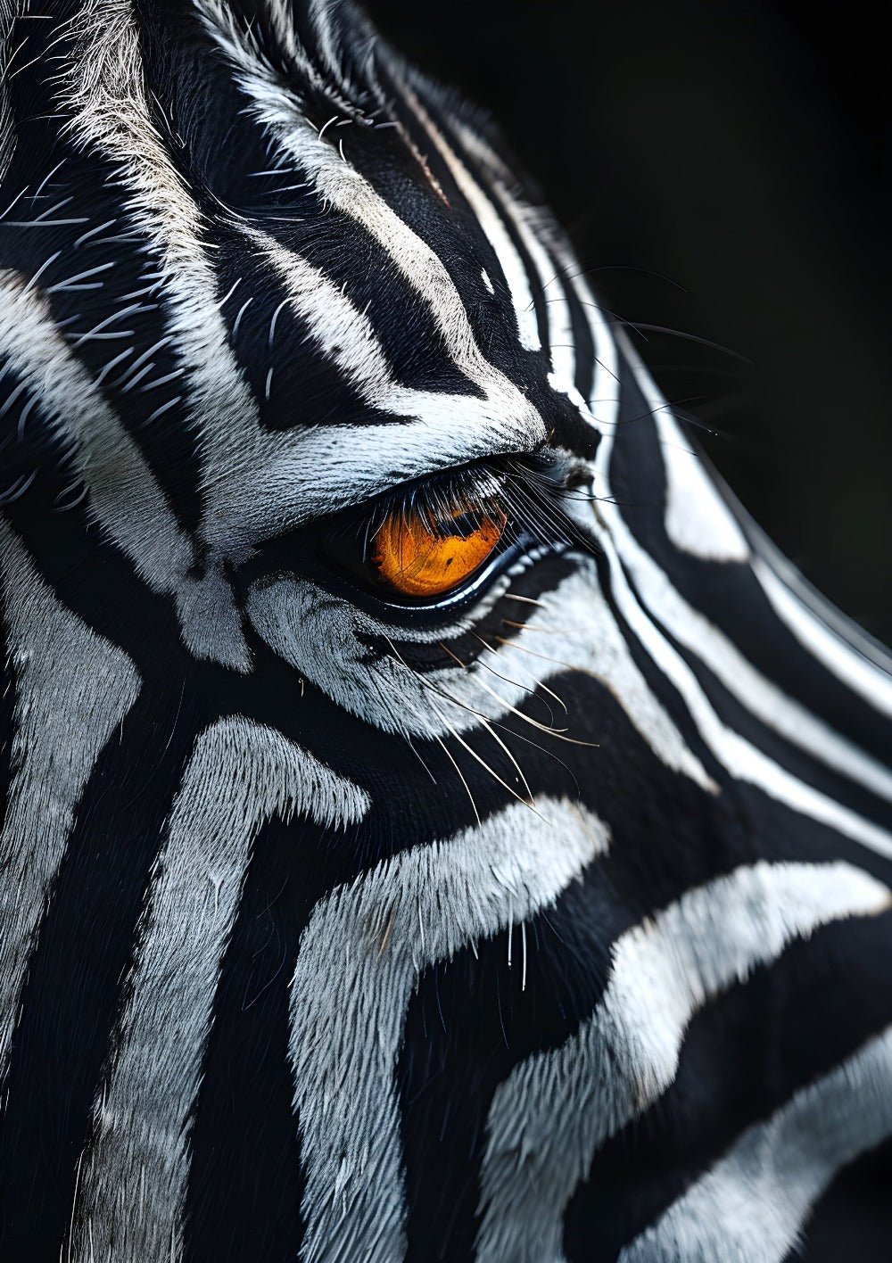 Zebra | Wall Art Print - Creative Arts